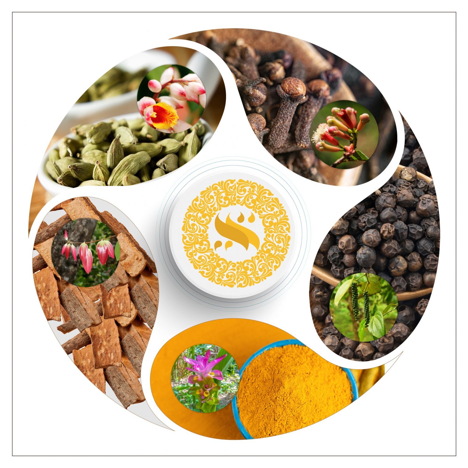 Spice Fivesome Cardamom + Black Pepper + Clove + Turmeric Powder